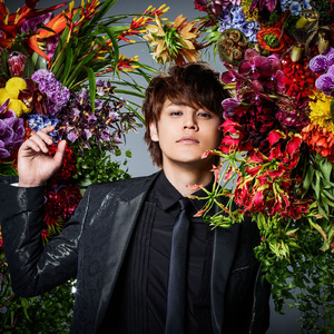 黄色妈妈爰在树林
