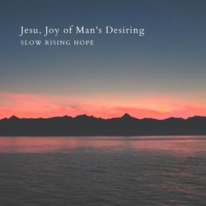 黄色妈妈爰在树林
