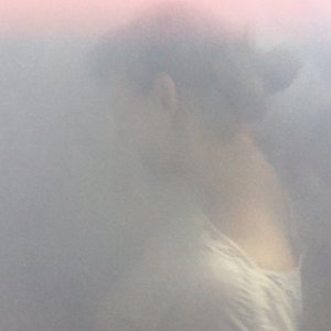 黄色妈妈爰在树林
