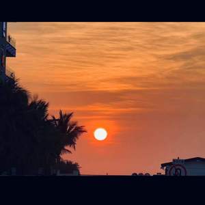 黄色妈妈爰在树林
