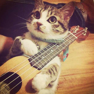 黄色妈妈爰在树林
