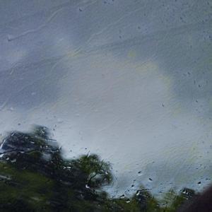 黄色妈妈爰在树林
