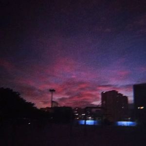 黄色妈妈爰在树林
