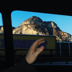 黄色妈妈爰在树林
